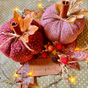 Pumpkin Making Workshop TUESDAY 9th SEPTEMBER